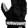 Warrior 2022 Fatboy Ball Hockey Gloves -Hockey Gear Shop FBG BK 1cdcb7f3 3ef4 4d23 9b44 ce1a4ac20b3e